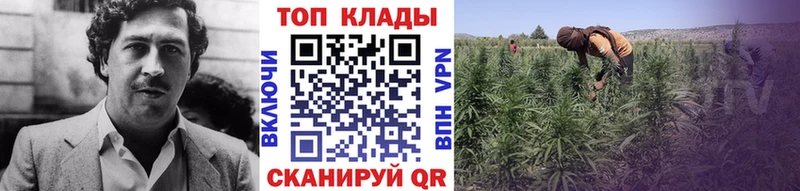 Купить закладку Канабис  Alpha PVP  MDMA  Амфетамин  Меф  ГАШ  Чекалин