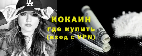 ешки Ельня