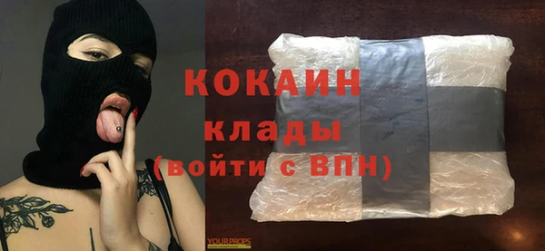ешки Ельня