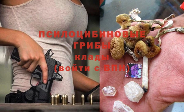 ешки Ельня