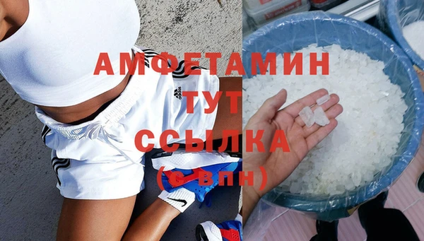 ешки Ельня