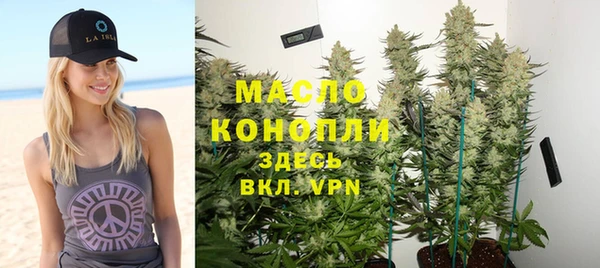 ешки Ельня
