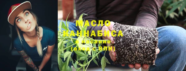 ешки Ельня
