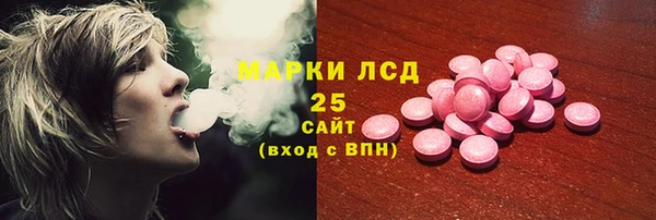 ешки Ельня