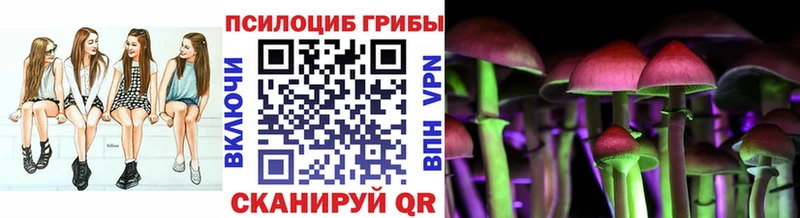 Галлюциногенные грибы GOLDEN TEACHER  Купить где  Чекалин 